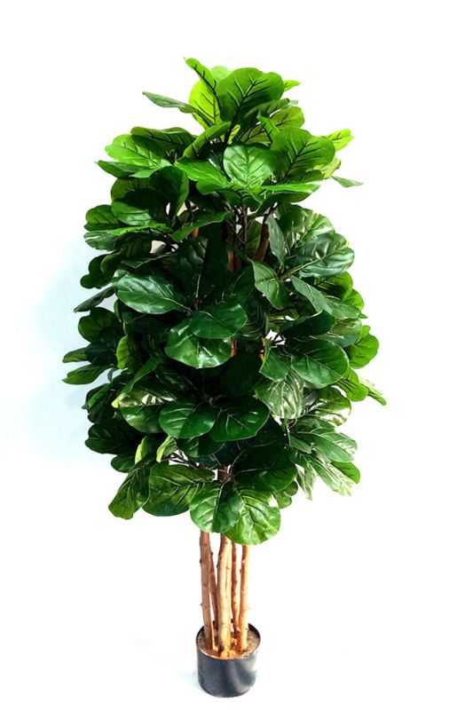 Artificial Fiddle Plant - 168 leaves - Mid Green
