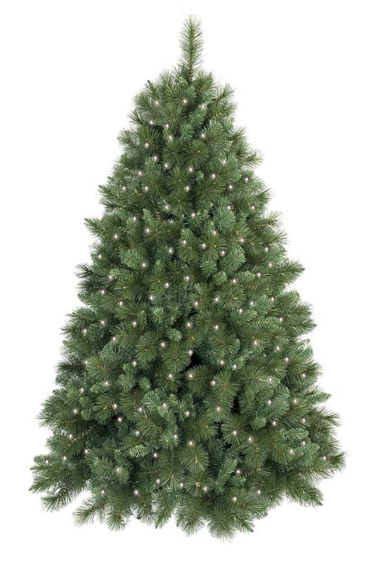 8' Deluxe Christmas Tree (inc 500 LEDs) - Mid Green