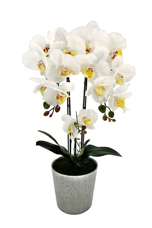 Artificial Medium Phalaenopsis Orchid - Ceramic Vase - White