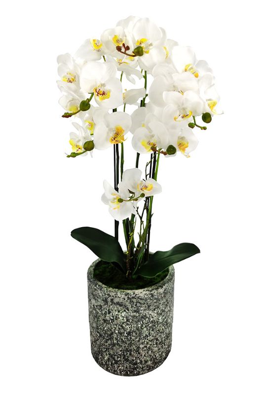Artificial Large Phalaenopsis Orchid - Cement Vase - White