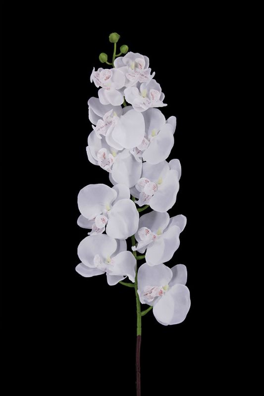 Artificial PHALAENOPSIS ORCHID - White - Set of 12