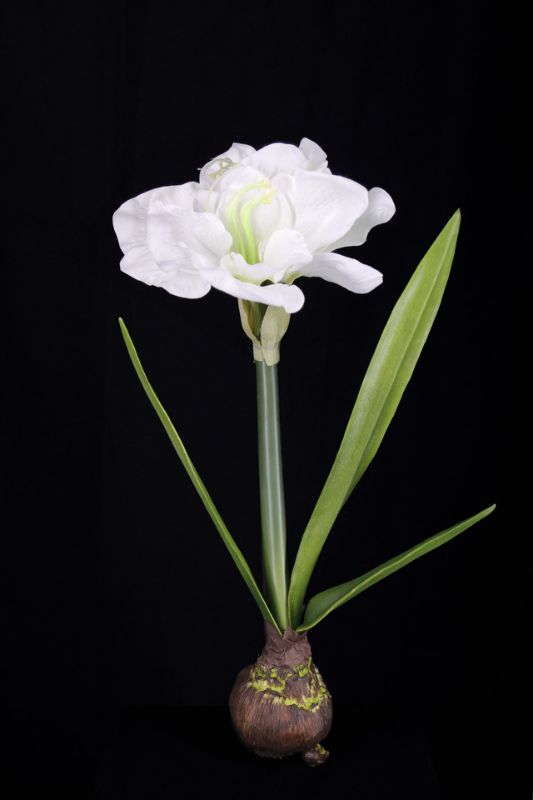 Artificial Hippeastrum Bulb - White - Set of 2