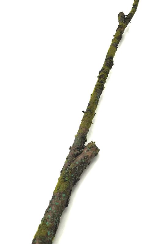 Artificial Deluxe Artificial Moss Branch - Chocolate