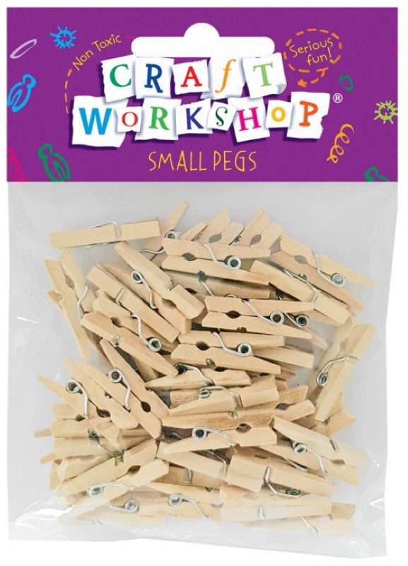 Florist Supplies - Craft Pegs Small Natural 50pc