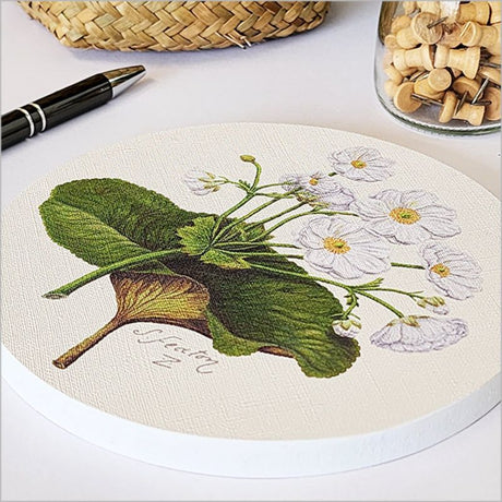 Vibrant 15cm canvas circle wall art featuring a delicate mountain lily, perfect for enhancing any decor style.