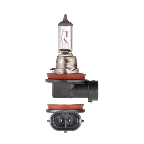 GLOBE HALOGEN H11 EVERLIFE 24V 70W