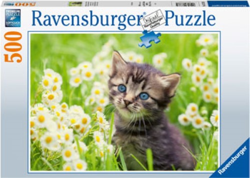Puzzle - Ravensburger- Kitten in the Meadow 500p