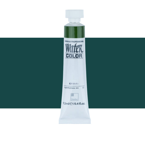 ShinHan Professional 12ml Watercolour Paints SHADOW GREEN