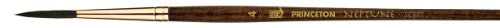 Princeton Neptune 4750 Script Synthetic Squirrel Brushes4