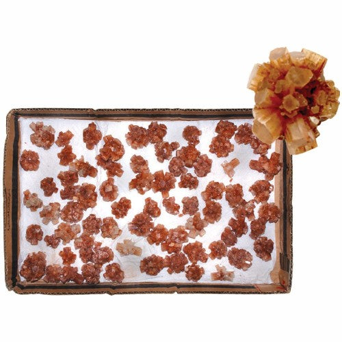 Aragonite Sputnik 100gm