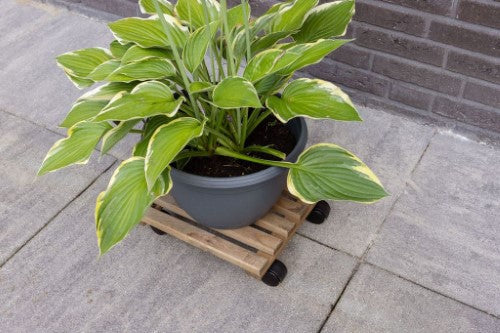 Outdoor Plant Trolley - Square Brown 29 x 29 x 8cm (Set of 2)
