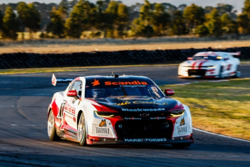 CHEV CAMARO GEN3 ZL1 - BJR - HEIMGARTNER #8 - NED Whisky Tasmania Supersprint