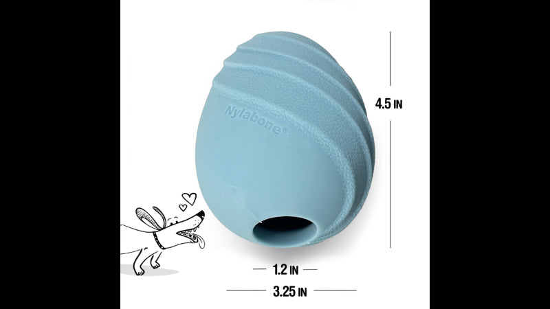 Dog Toy - Creative Play Eggi - Blue