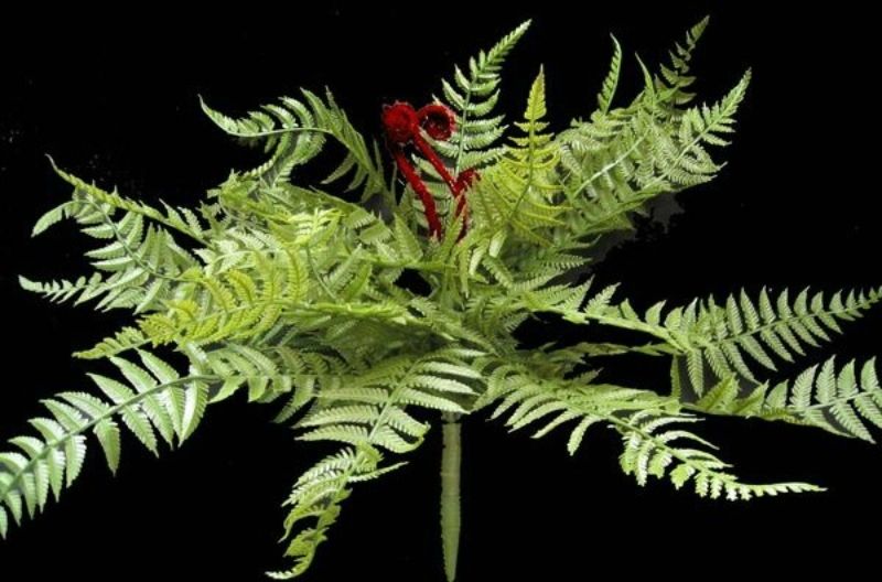 Artificial Fern Bush - NZ 15" Boston w/Koru (Green)