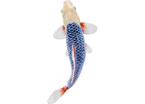 Mojo - Asagi Koi Carp