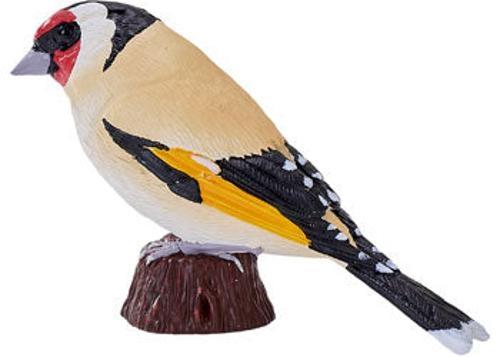Mojo - European Goldfinch