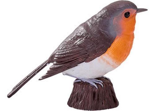 Mojo - Robin