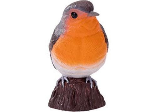 Mojo - Robin