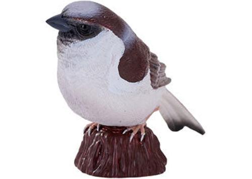 Mojo - House Sparrow