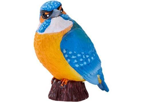 Mojo - Kingfisher