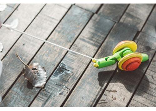 PlanToys - Pull-Along Snail