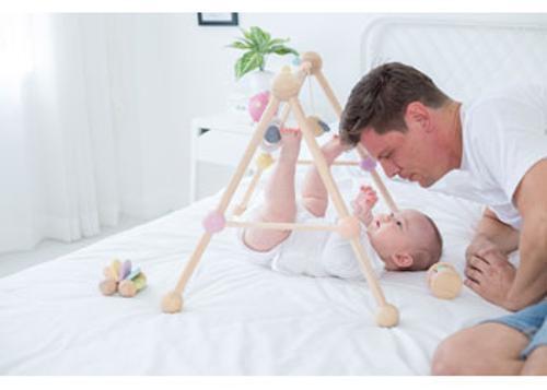 PlanToys - Play Gym Pastel