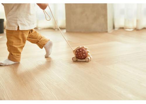 PlanToys - Pull-Along Hedgehog (Brown)