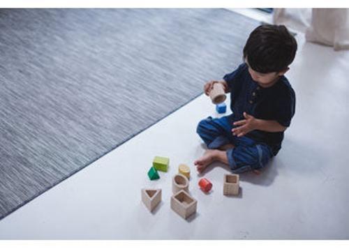 PlanToys - Geo Matching Boxes