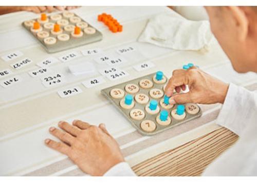 PlanToys - Math Bingo