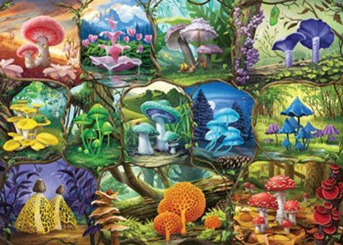 Ravensburger - Beautiful Mushrooms Puzzle 1000 Pieces