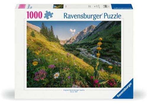 Ravensburger - Magical Valley Puzzle 1000 Pieces