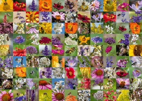 Ravensburger - 99 Bees Puzzle 1000 Pieces