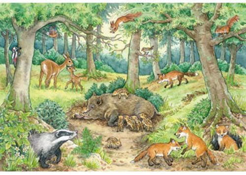 Ravensburger - Animals in Forest Puzzle 2x12 Pieces