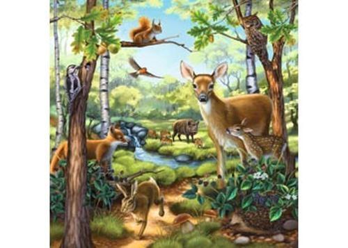 Ravensburger - Forest Zoo & Pets Puzzle 3x49 Pieces