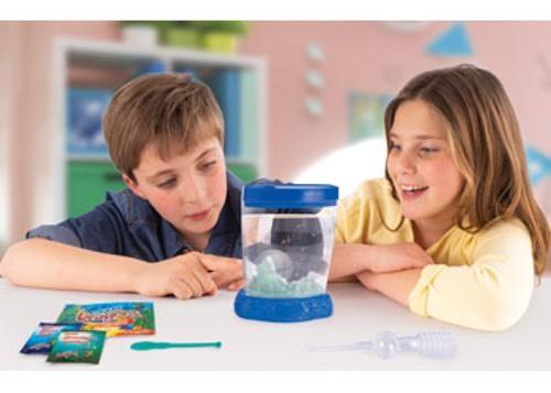 Aqua Dragons - Colour Changing Box Kit