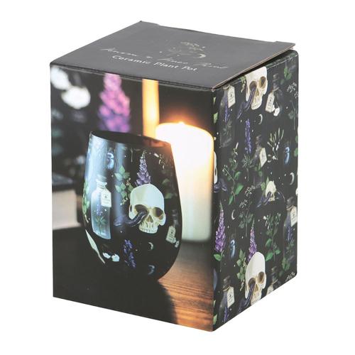 Venom & Vines Skull Botanical Stemless Glass 500ml