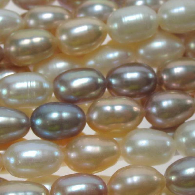 Beads - Pearls - Pearl 7.4x5.3mm 40cm MULTI - Set of 4