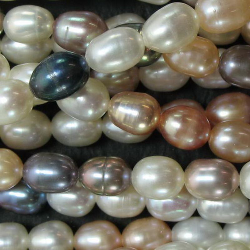 Beads - Pearls - Pearl 5.5x4.5mm 40cm MULTI - Set of 4