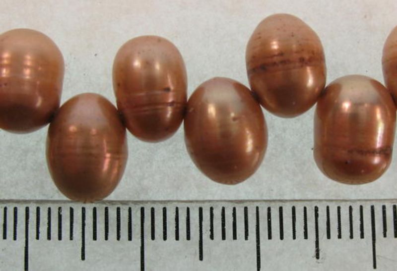 Beads - Pearls (Freshwater) - LT.BROWN