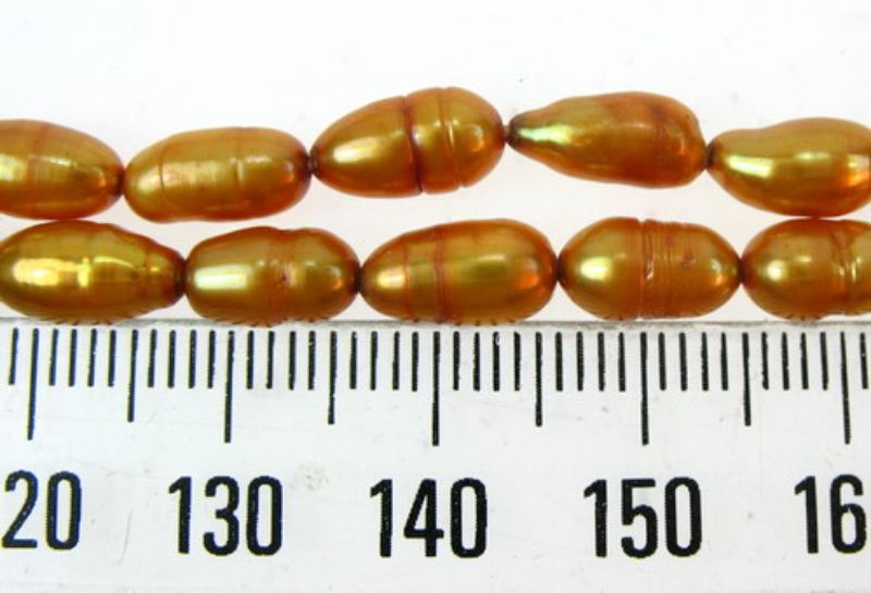 Beads - Pearls (Freshwater) - GOLDEN - Set of 2