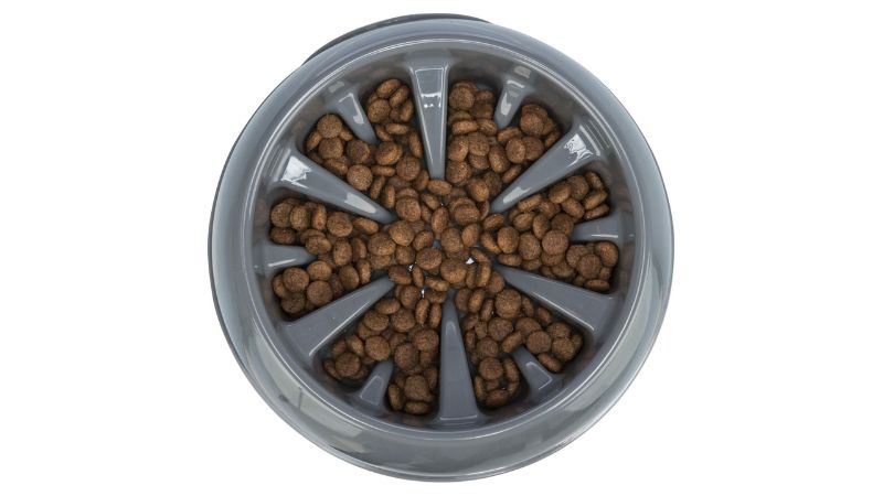 Plastic Dog Bowl - Slow Feed (1.4L)
