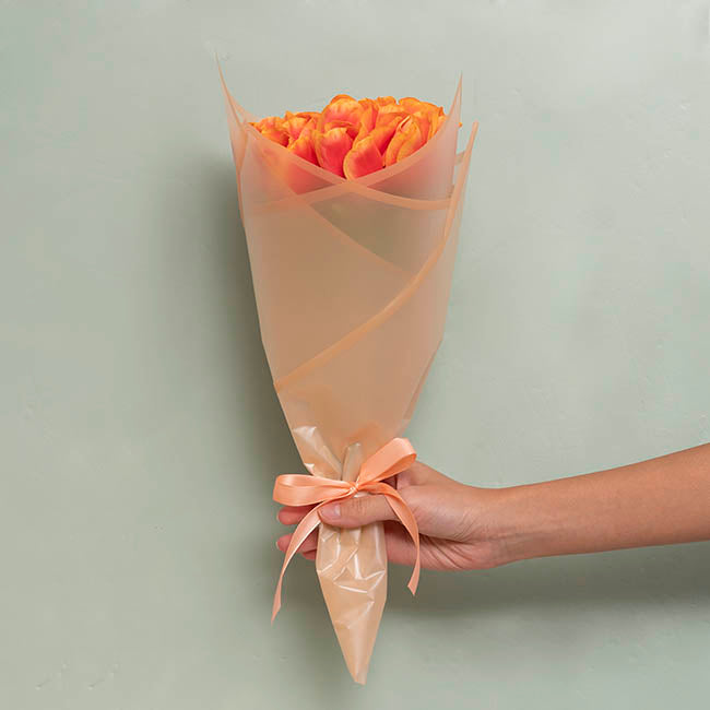 Cello Frosted Hue Silhouette 50mic Apricot Pk100