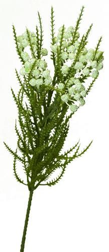 Achillea Spray (milfoil) / Green / Cream