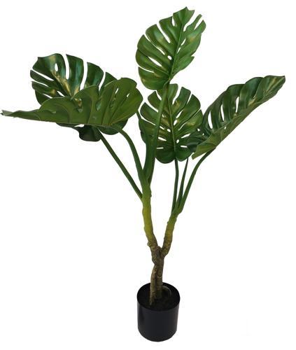 Monstera - 1100mm