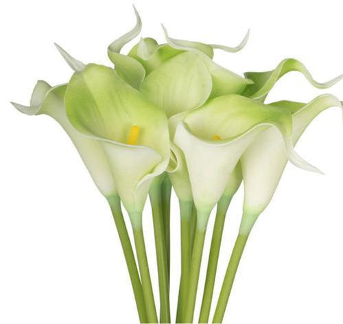 9 Pce Calalily Bunch - Green