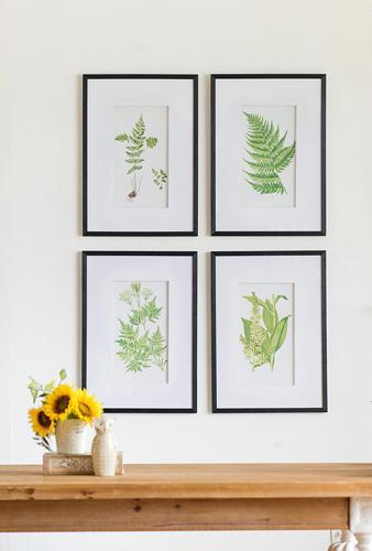 Botanical Wal Art Set of 4