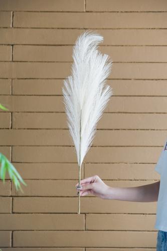 Artificial Pampas Grass X3 Branches - Natural