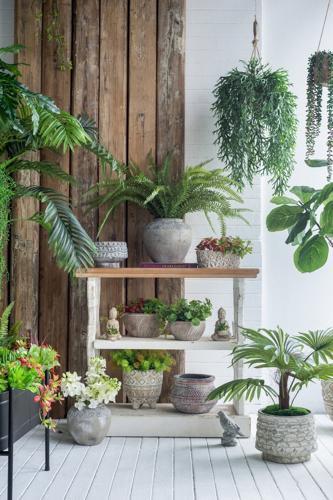Terracotta Planter - 210 X 210 X 195