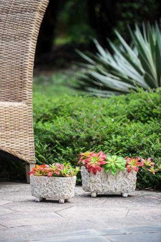 Terracotta Planter - 240 X 125 X 125