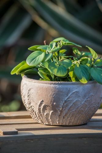 Terracotta Planter - 185 X 185 X 100